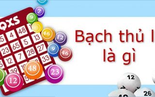 bạch thủ lô là gì